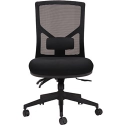 Rapidline Breeze Ergonomic Chair Mesh Back Without Arms