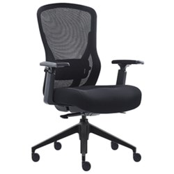 Mitz Executive Chair Low Back With Arms Memory Foam Seat Mesh Back Black