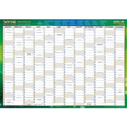 Writeraze Wall Planner 500X700mm Recycled Green