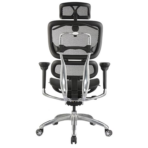 ERGO-1H-back-view